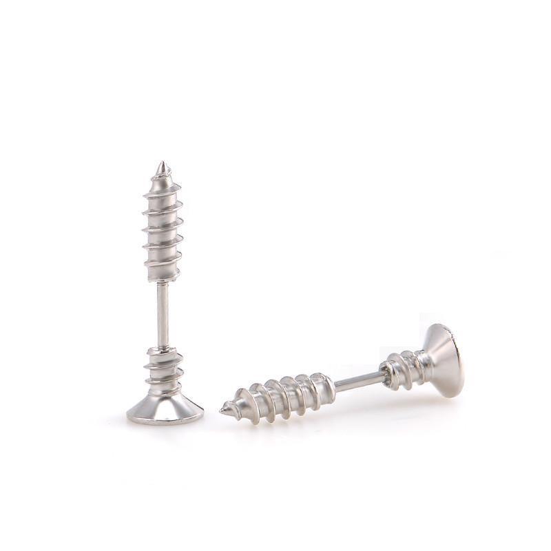 Stainless Steel Screw Earrings in Silver colour