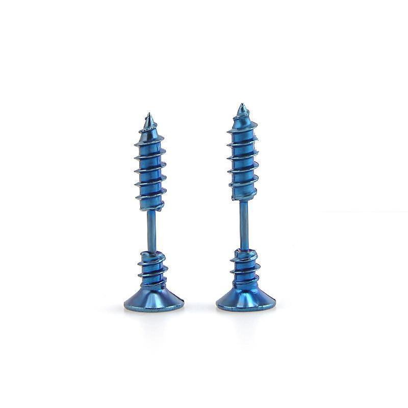 Stainless Steel Screw Earrings in Blue colour