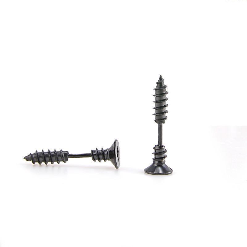 Stainless Steel Screw Earrings in Black colour